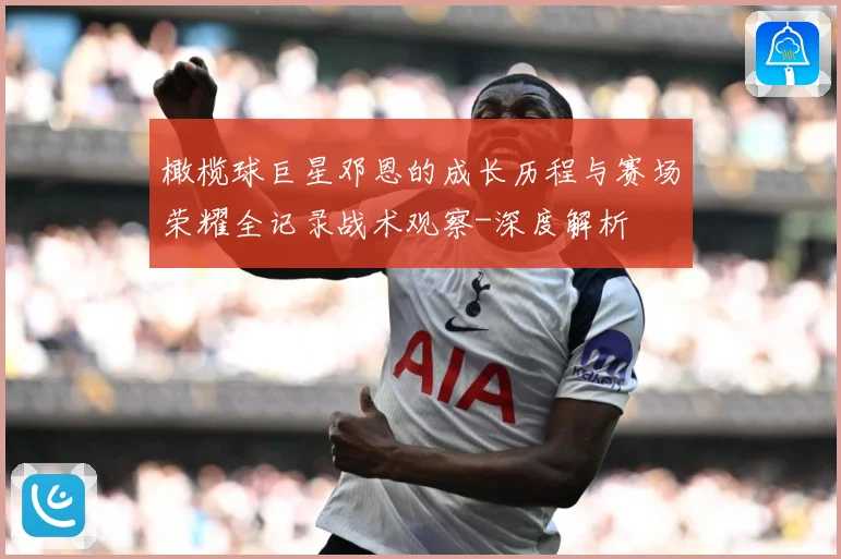 橄榄球巨星邓恩的成长历程与赛场荣耀全记录战术观察-深度解析